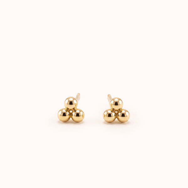 Mimosa Flatback Stud