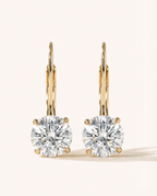 Astor Drop Earrings
