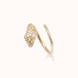Ouroboros Illusion Earrings