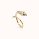 Ouroboros Illusion Earrings