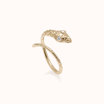 Ouroboros Illusion Earrings - Zayla - Earrings