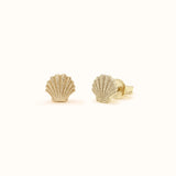 Capri Shell Studs